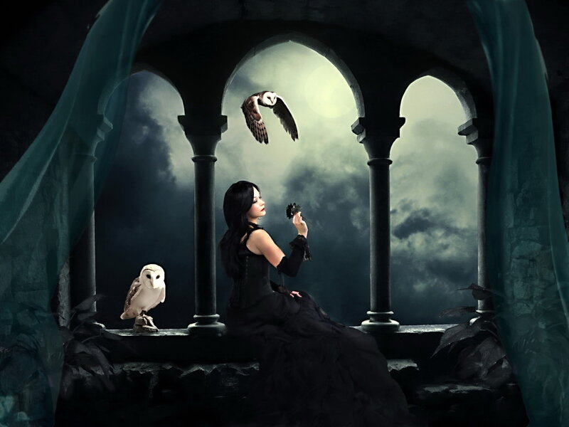 Woman with Owls — Black, Dramatic