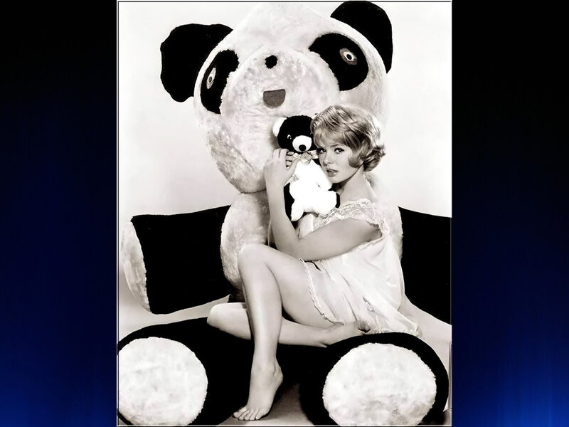 Woman with Panda Bear