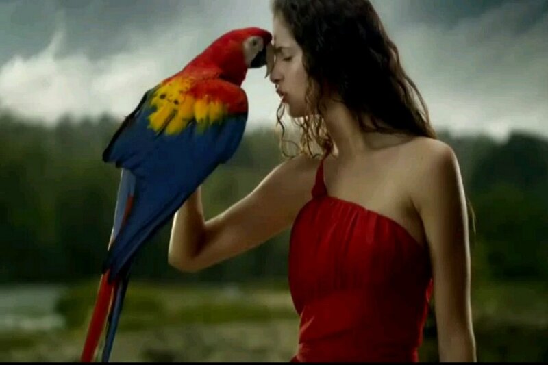 Woman with Parrot — Red, Dramatic