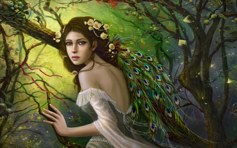 woman with peacock feathers