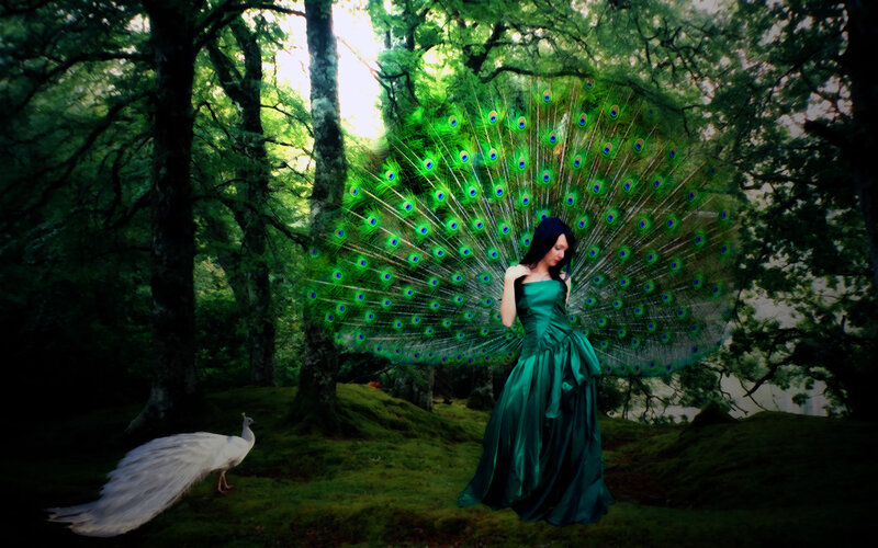Woman with Peacock Feathers — Green, Serene, Afternoon, Digital Art