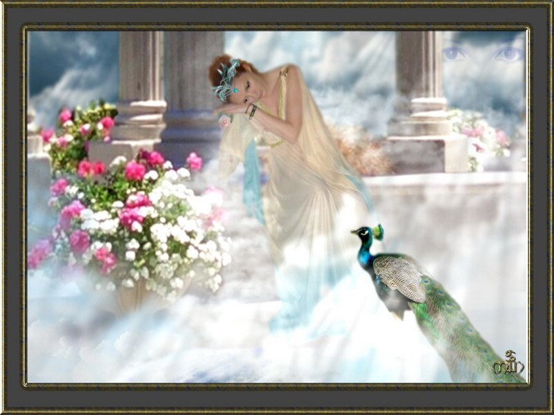 woman with peacock in garden