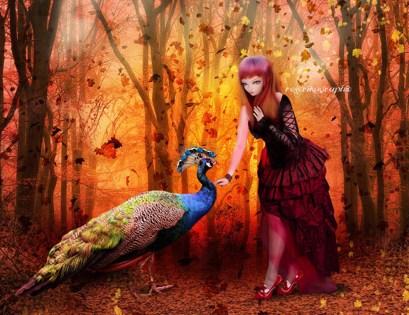 Woman with Peacock — Orange, Dramatic