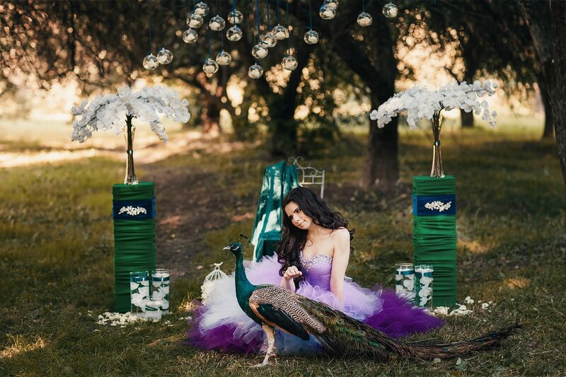 Woman with Peacock — Purple, Serene