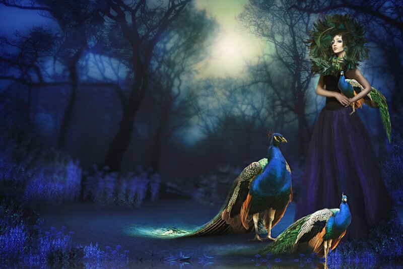 Woman with Peacocks — Blue