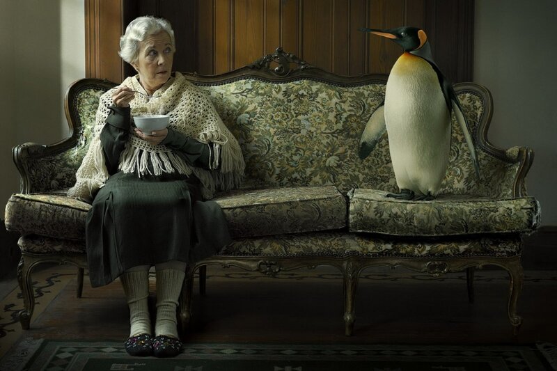 Woman with penguin on couch
