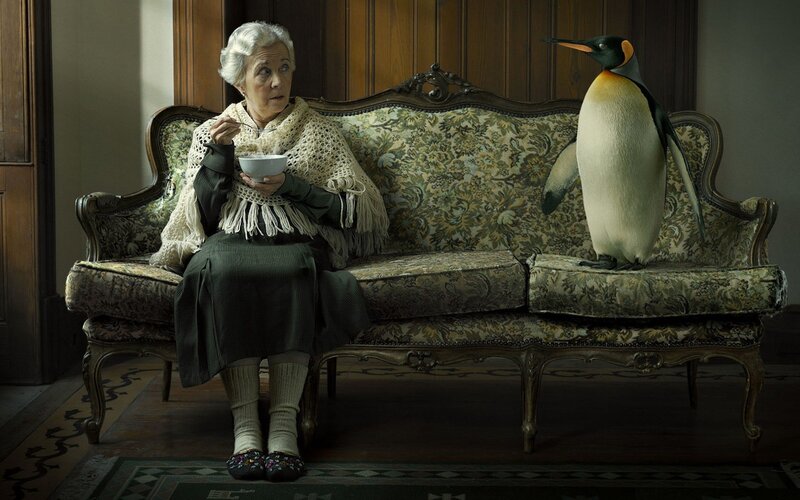 Woman with penguin on couch