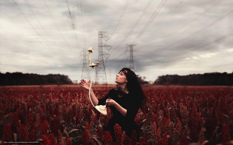 Woman with phone in field