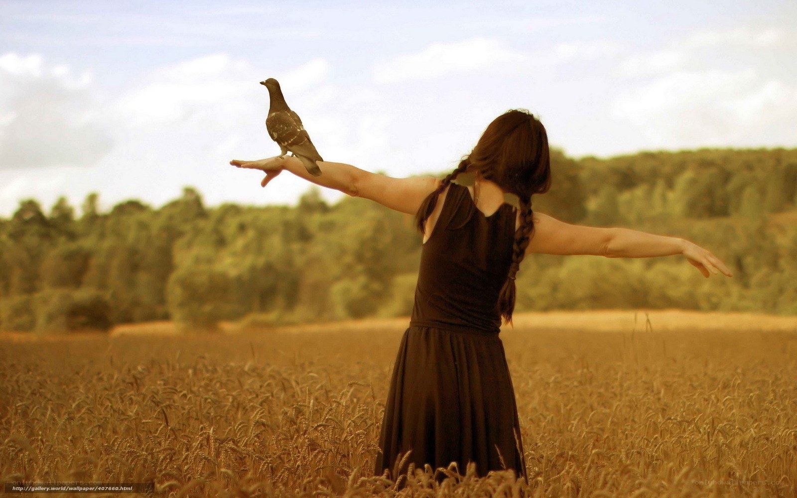 woman with pigeon in field