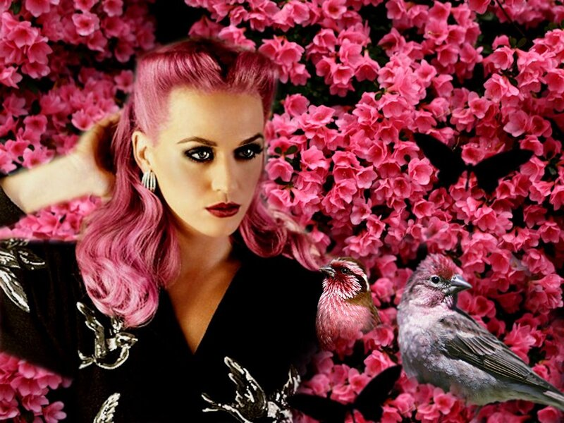 Woman with Pink Hair — Dramatic, Photograph, Birds