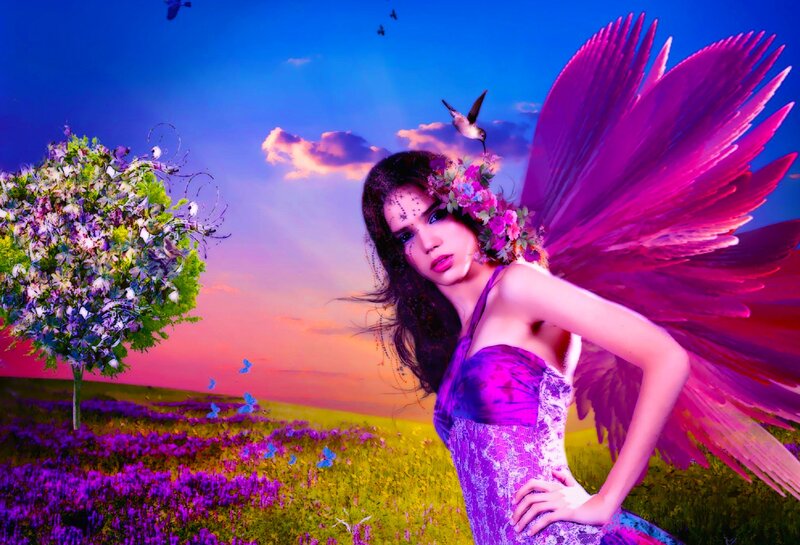 Woman with Pink Wings — Purple