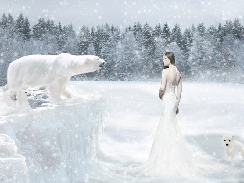 woman with polar bears in snow