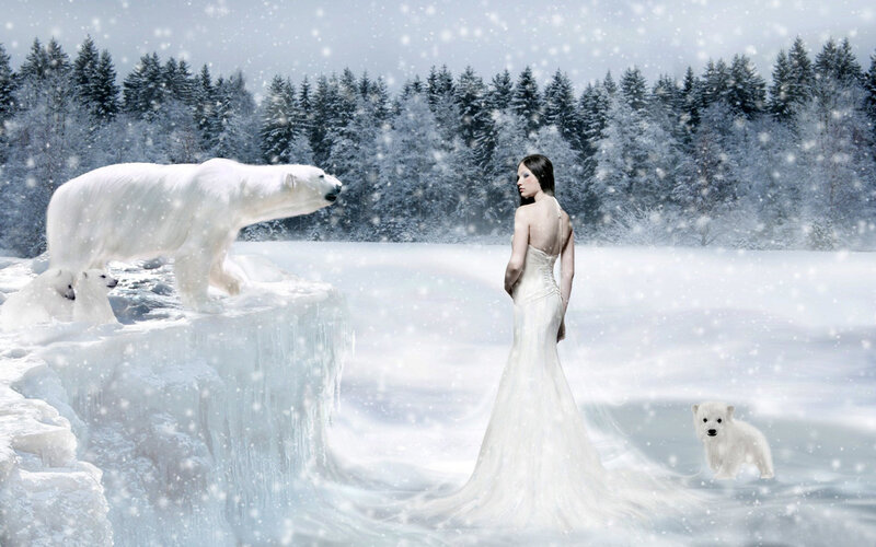woman with polar bears in snow
