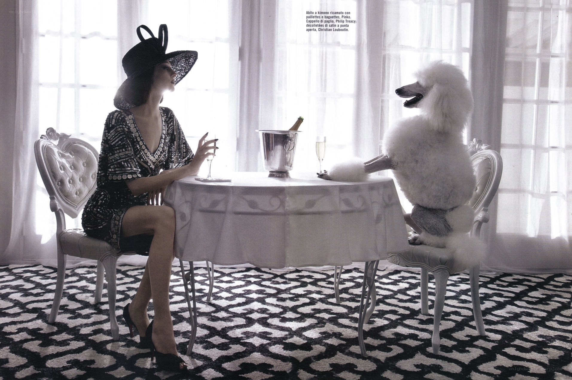 Woman with poodle at table