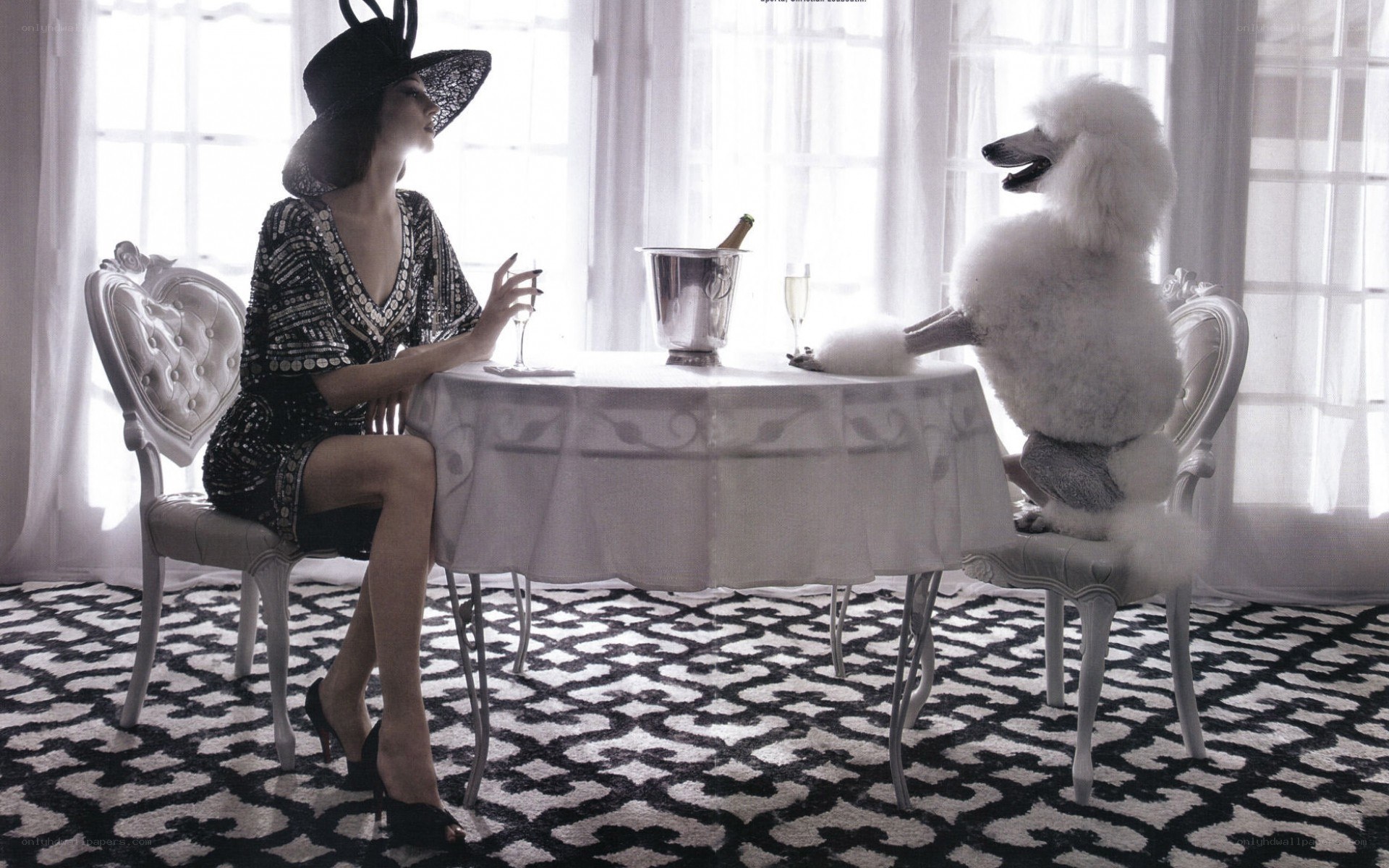 Woman with poodle at table