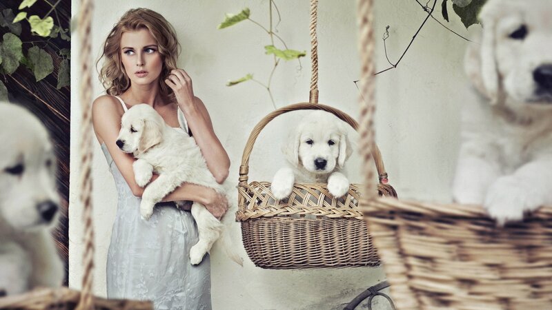 woman with puppies in basket