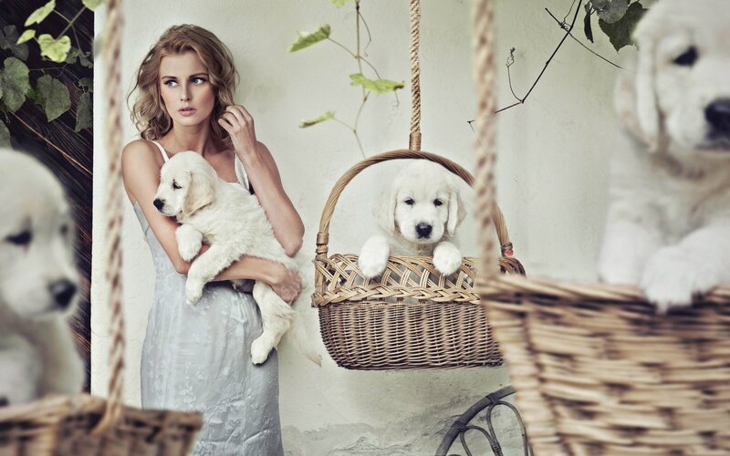 Woman with puppies in baskets