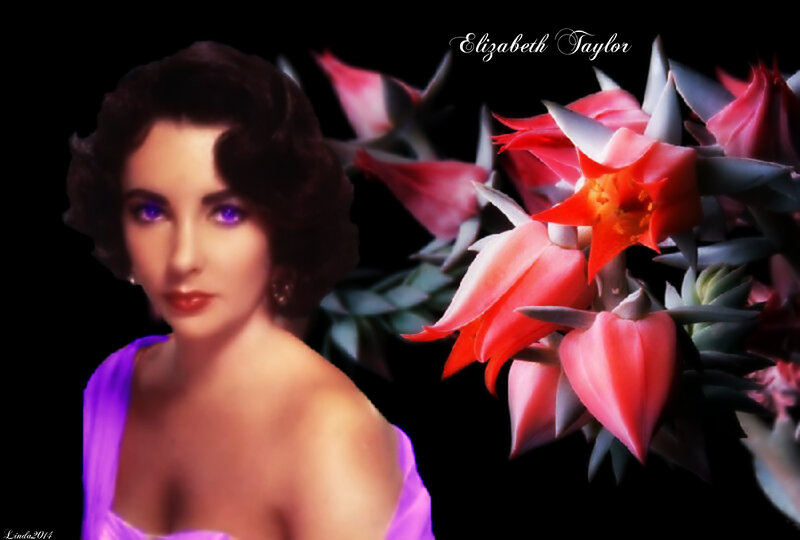 Woman with Purple Eyes — Black, Dramatic, Digital Art, Flowers
