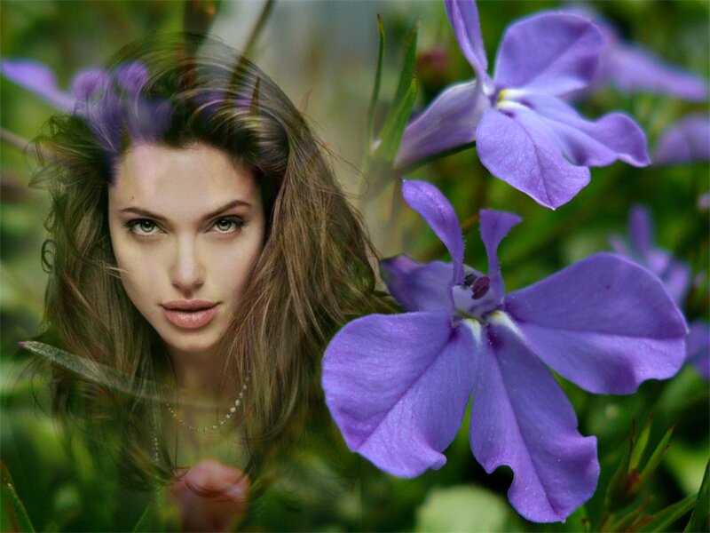 Woman with Purple Flowers — Serene, Photograph, Greenery