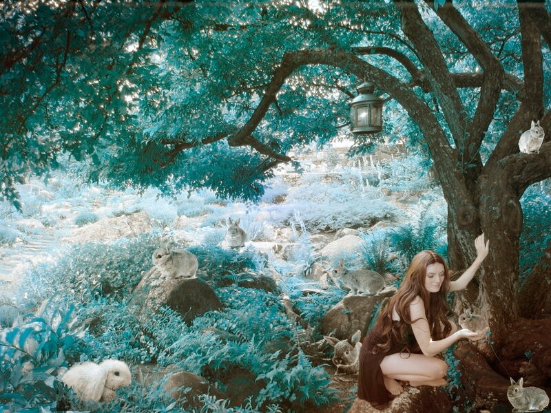 Woman with Rabbits — Teal