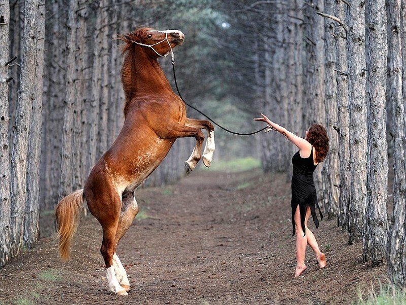 Woman with rearing horse in forest