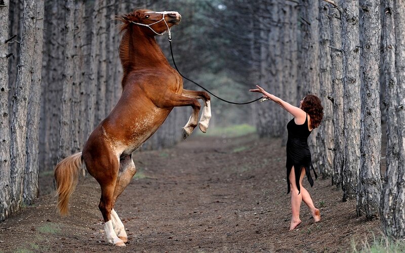 Woman with rearing horse