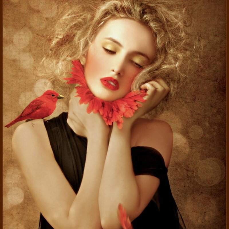 Woman with Red Bird — Dreamy