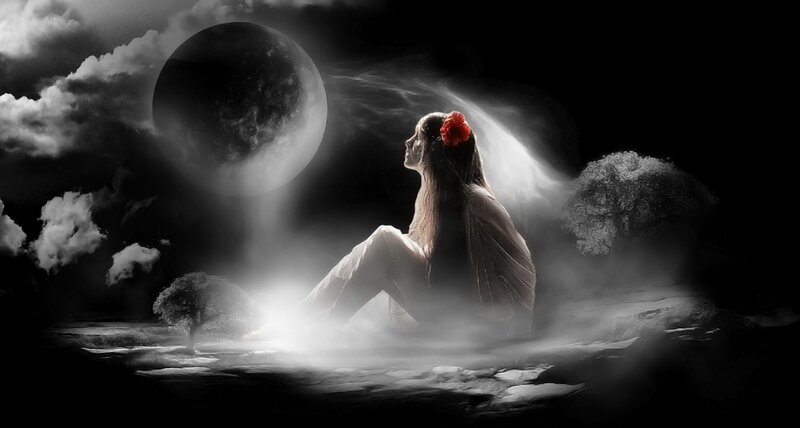 Woman with Red Flower — Black, Dramatic, Night