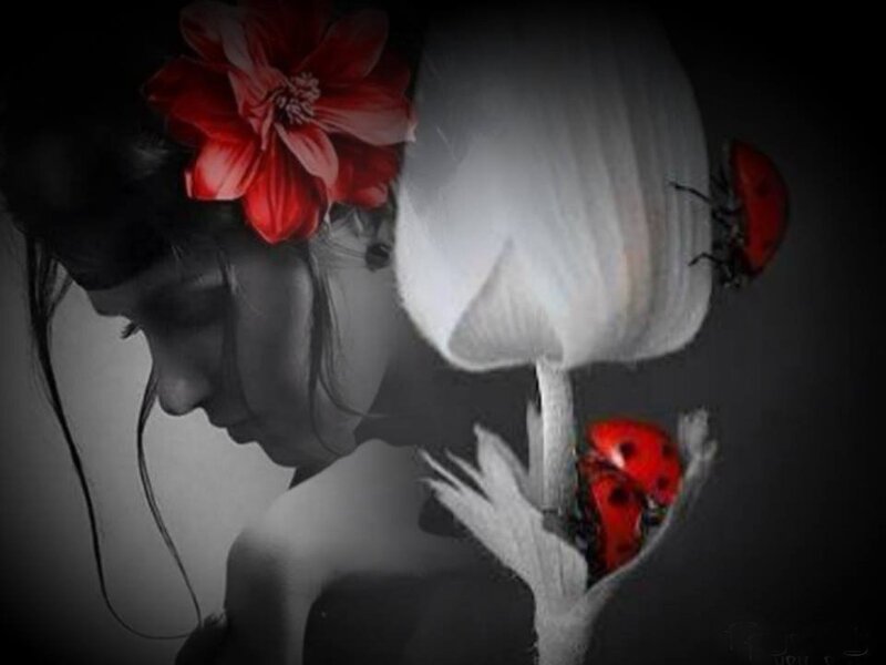 Woman with Red Flower — Dramatic, Digital Art, Ladybug