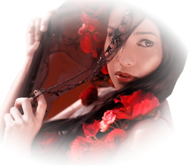 Woman with Red Flowers — Dramatic, Photograph, Veil