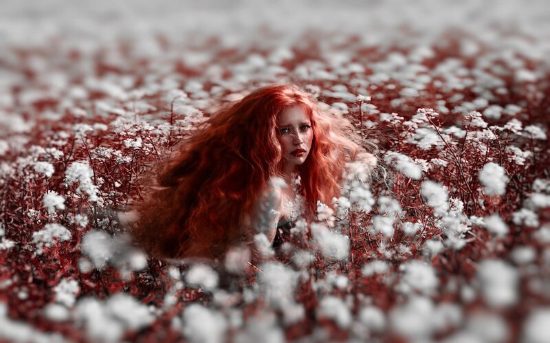 Woman with Red Hair — Dramatic, Digital Art, Flowers, Field
