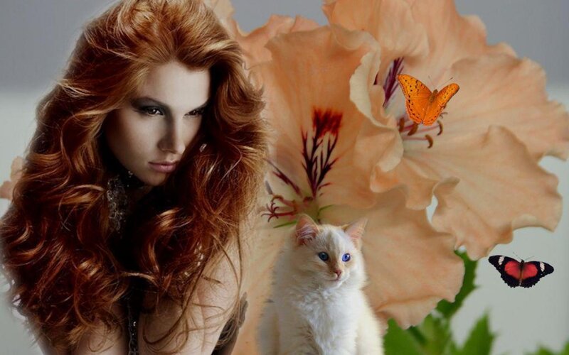 Woman with Red Hair — Dramatic, Photograph, Cat, Butterfly