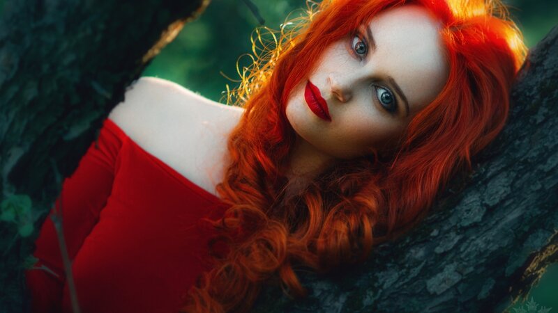 Woman with Red Hair — Dramatic, Photograph, Tree, Forest