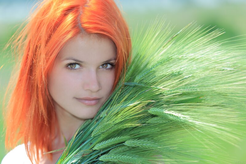Woman with Red Hair — Serene, Afternoon, Photograph, Wheat