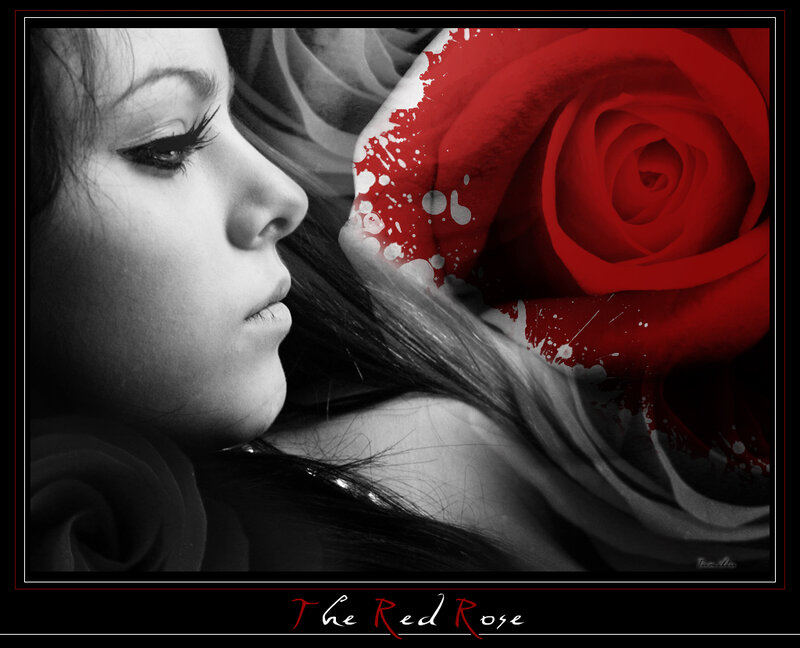 Woman with Red Rose — Black, Dramatic, Photograph, Hair, Face
