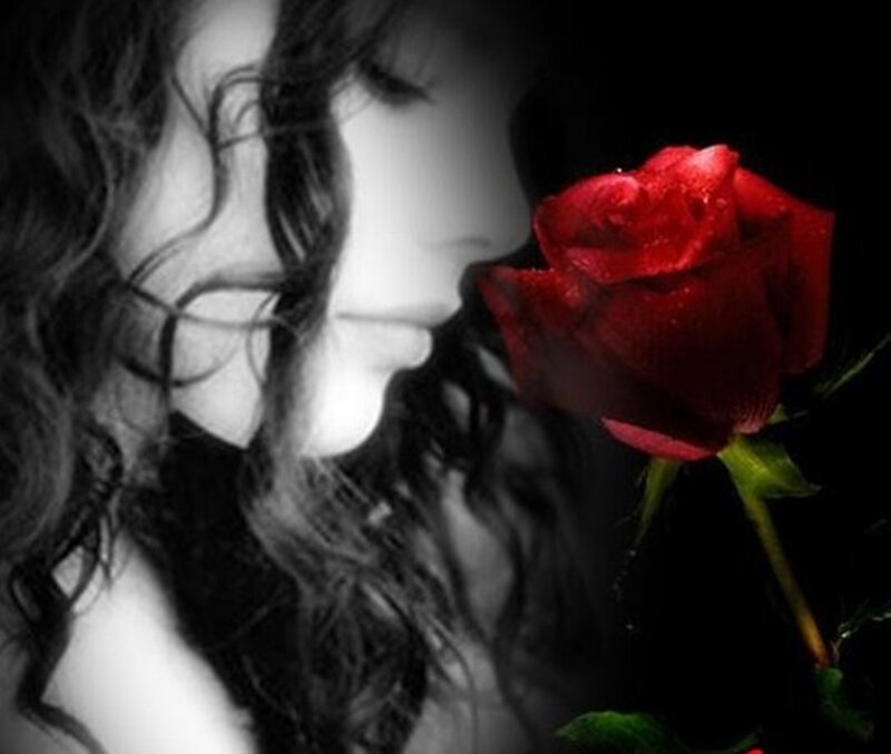 Woman with Red Rose — Black, Dramatic, Photograph, Hair