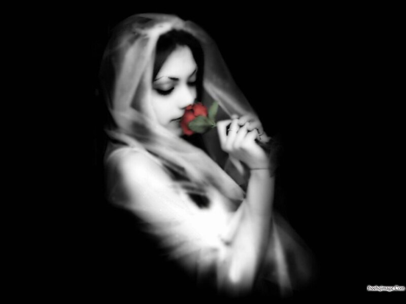Woman with Red Rose — Black, Dramatic, Photograph, Veil