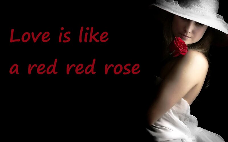 Woman with Red Rose — Black, Dramatic, Photograph, White Hat, Red Rose, Black Background
