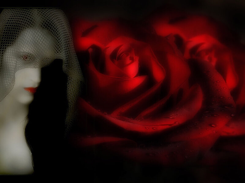 Woman with Red Rose — Dramatic, Digital Art, Veil