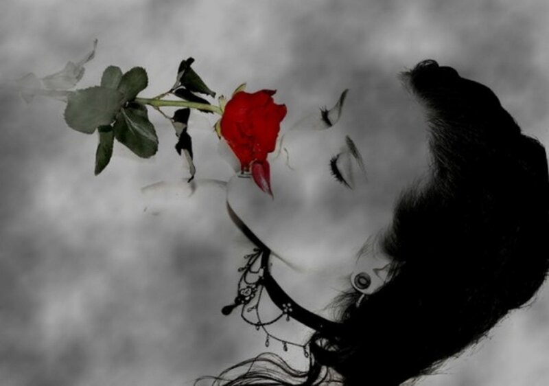 Woman with Red Rose — Dramatic, Photograph, Choker