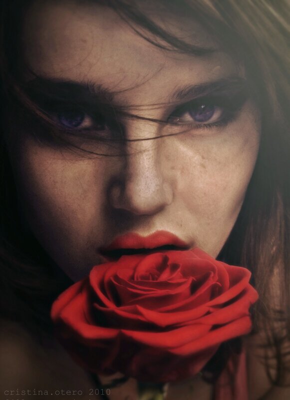 Woman with Red Rose — Dramatic, Photograph, Eyes