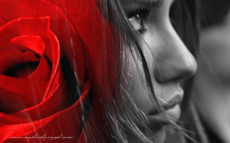 Woman with Red Rose — Dramatic, Photograph, Hair, Face, Black