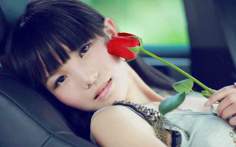 woman with red rose in car