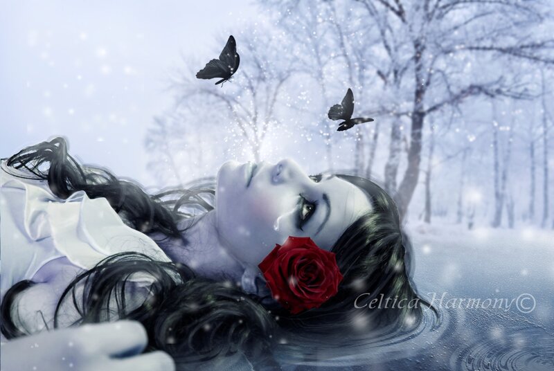 Woman with Red Rose — White, Dreamy, Winter
