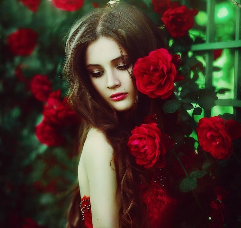 Woman with Red Roses — Serene, Afternoon, Photograph