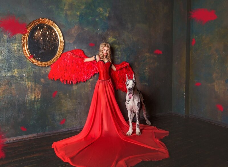 Woman with Red Wings — Dramatic, Photograph, Dog
