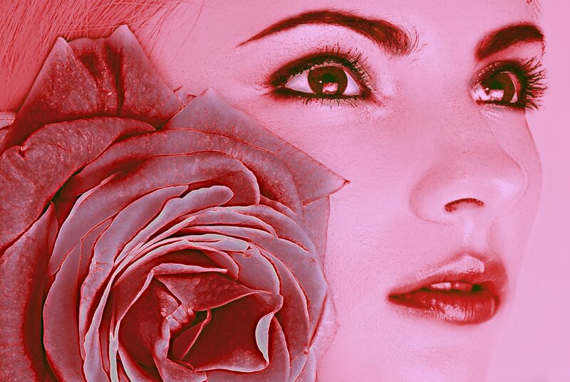 Woman with Rose — Pink, Dramatic