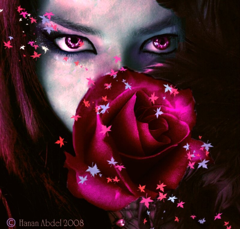 Woman with Rose — Purple, Dramatic