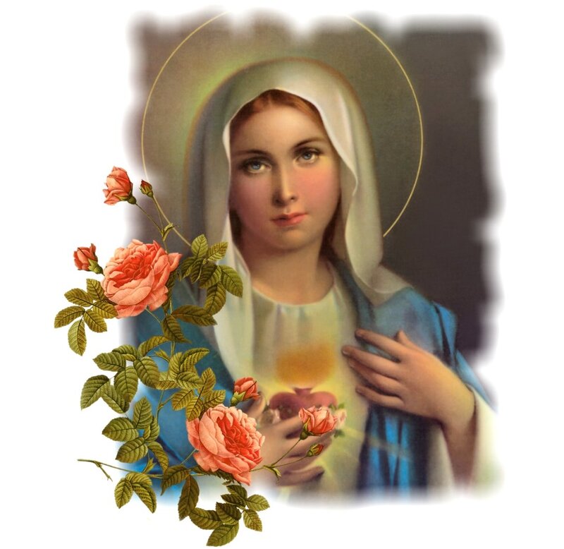 Woman with Roses — Blue