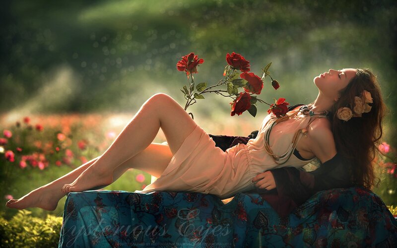 woman with roses in garden